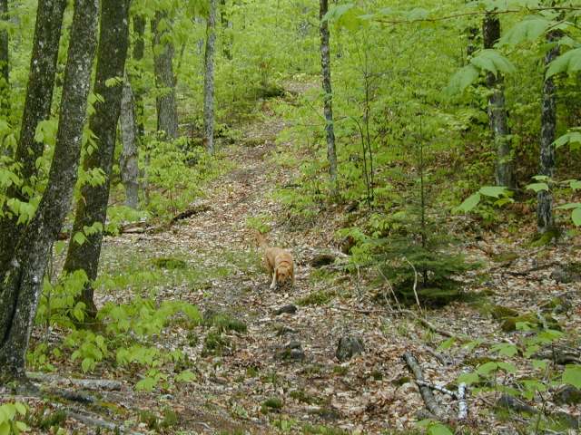 Images/Sandy on hiking trail.jpg